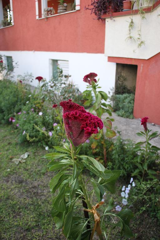 Alvanita Apartments Ulcinj Exterior foto